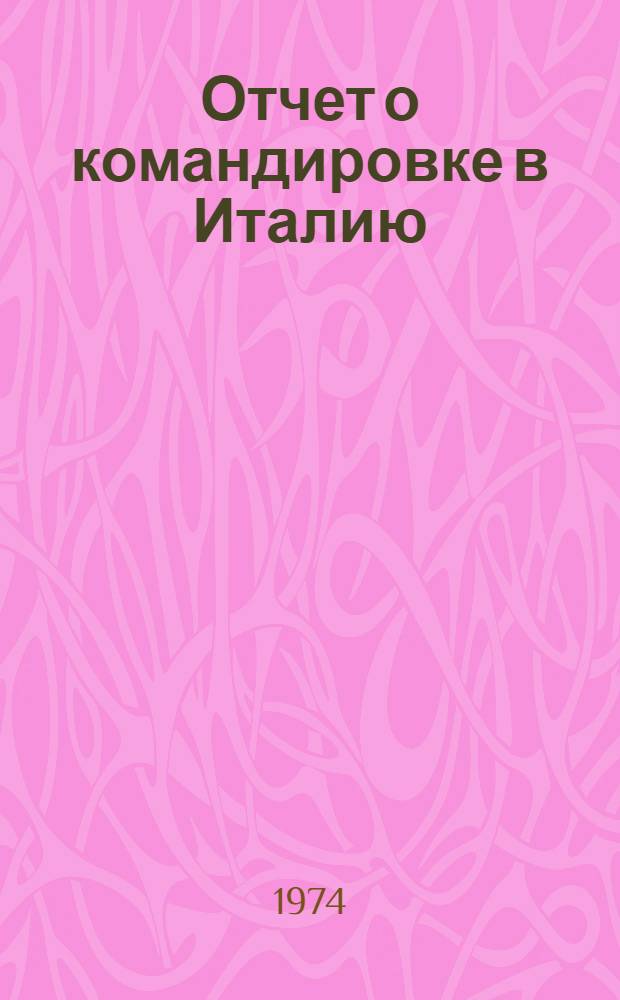Отчет о командировке в Италию