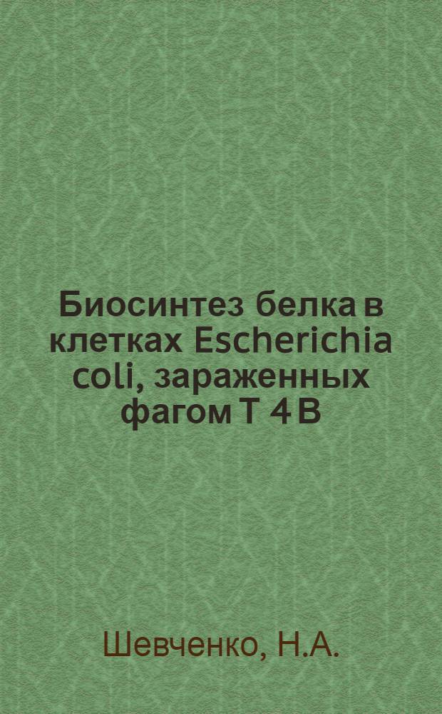 Биосинтез белка в клетках Escherichia coli, зараженных фагом Т 4 В : 2