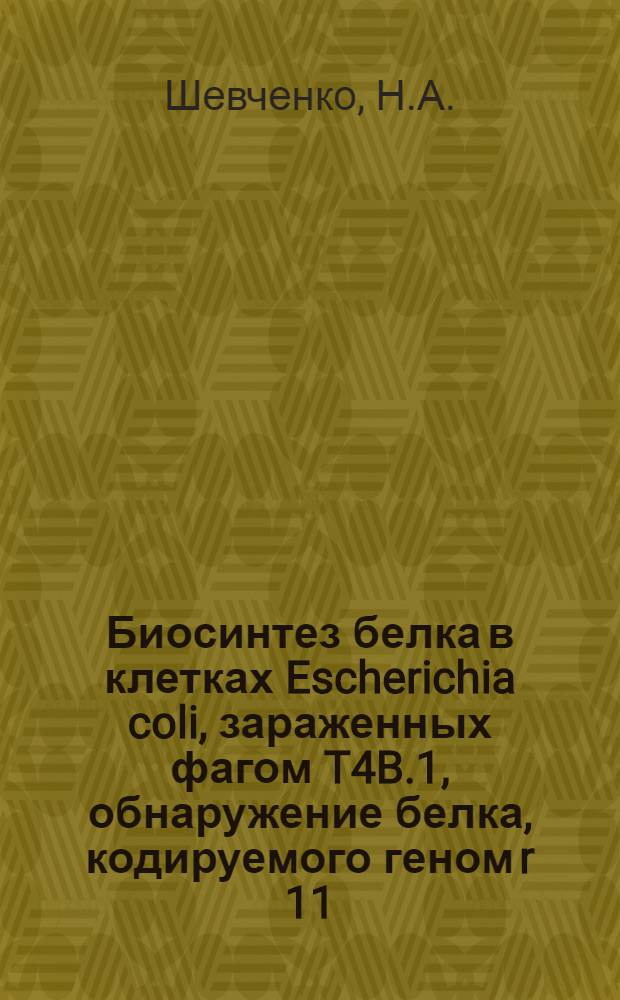 Биосинтез белка в клетках Escherichia coli, зараженных фагом T4B.1, обнаружение белка, кодируемого геном r 11, методом электрофореза в градиенте полиакриламидного геля