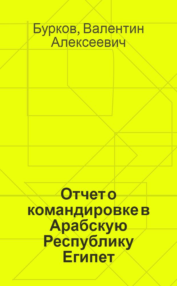 Отчет о командировке в Арабскую Республику Египет