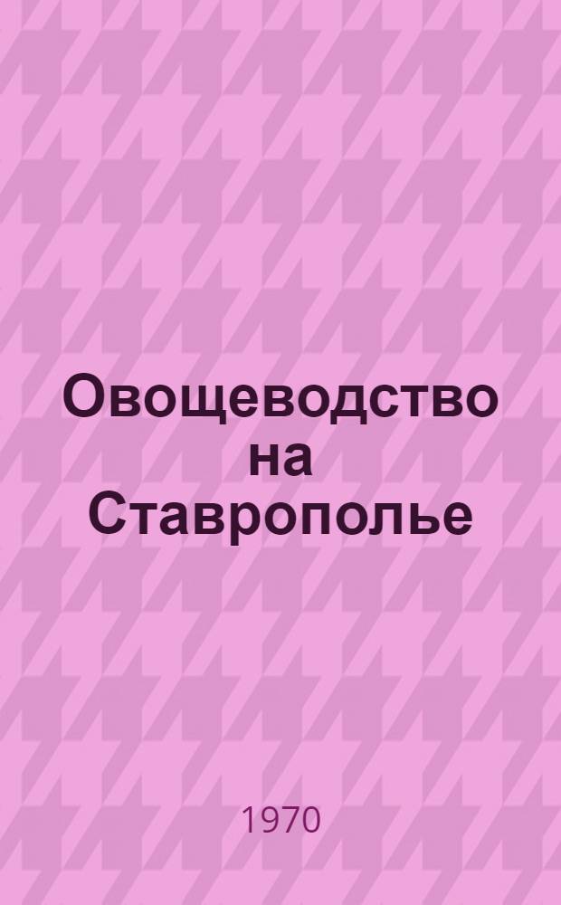 Овощеводство на Ставрополье