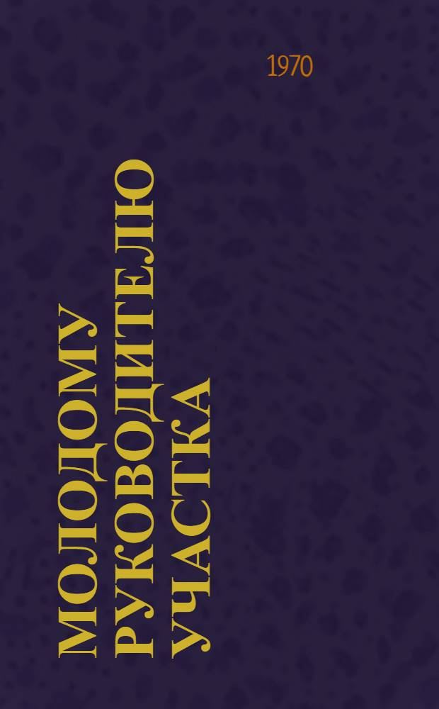 Молодому руководителю участка