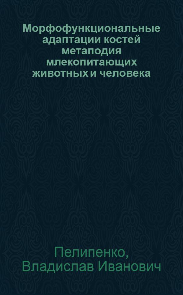Морфофункциональные адаптации костей метаподия млекопитающих животных и человека : Автореф. дис. на соиск. учен. степени канд. биол. наук : (03.00.08)