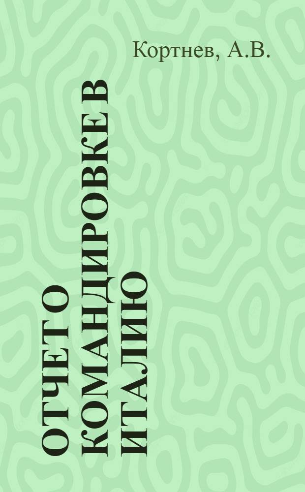 Отчет о командировке в Италию