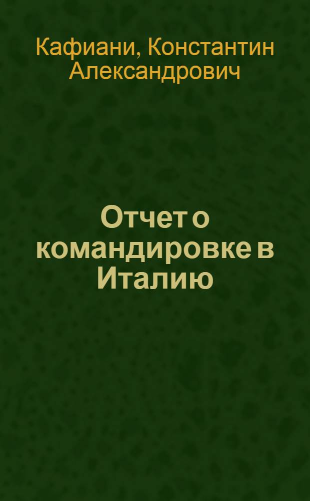 Отчет о командировке в Италию