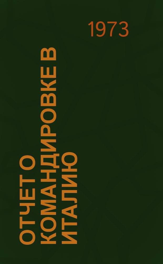 Отчет о командировке в Италию