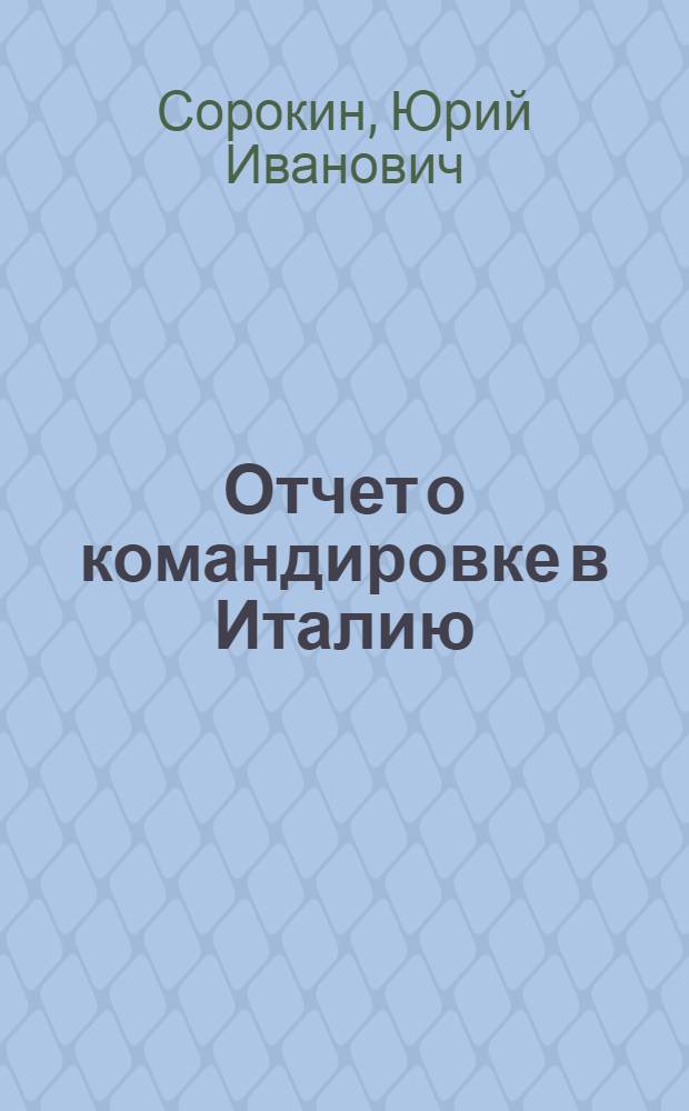 Отчет о командировке в Италию
