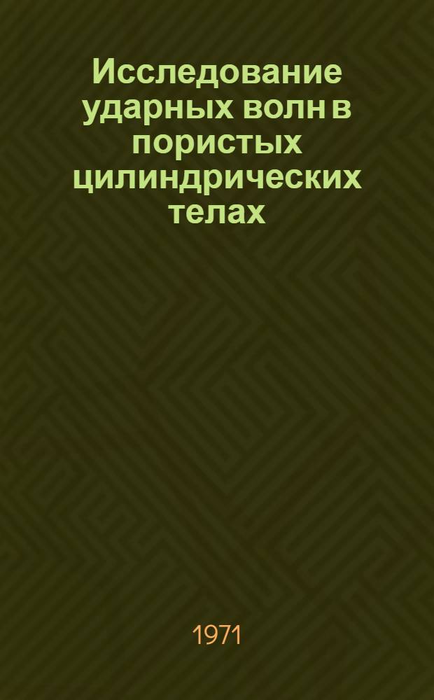 Исследование ударных волн в пористых цилиндрических телах : Автореф. дис. на соискание учен. степени канд. физ.-мат. наук