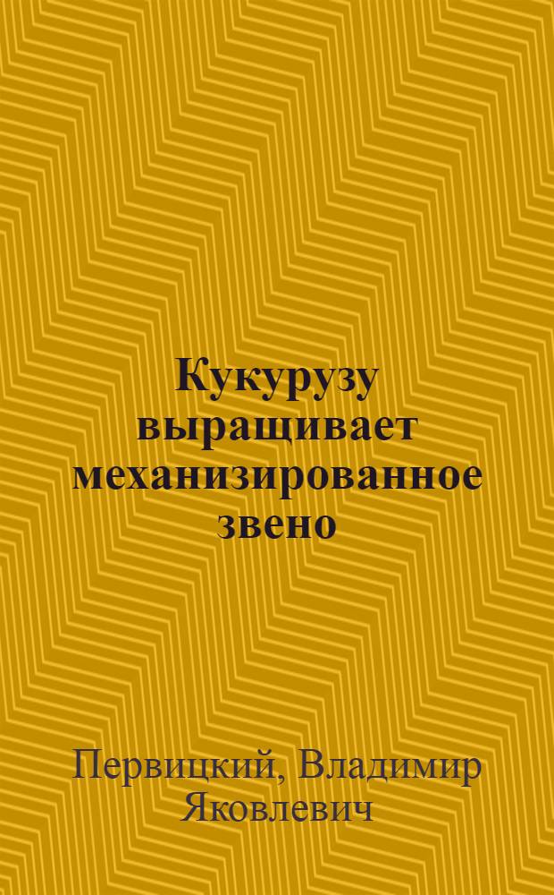 Кукурузу выращивает механизированное звено