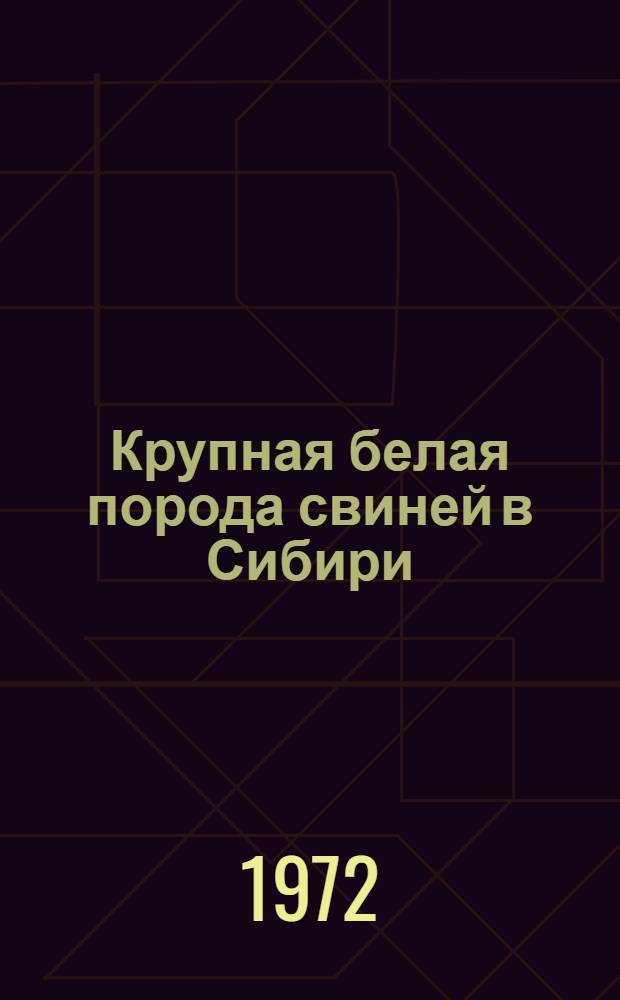 Крупная белая порода свиней в Сибири : Сборник статей