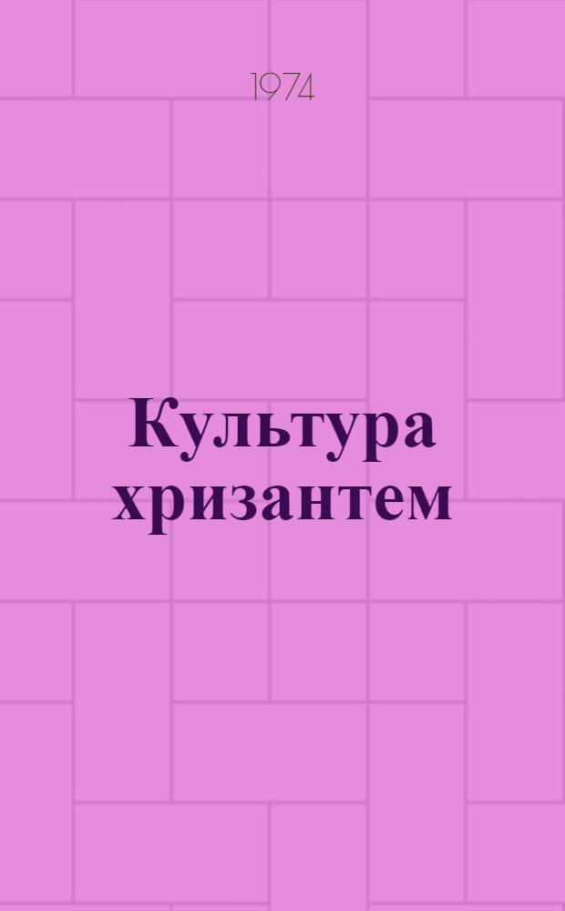 Культура хризантем