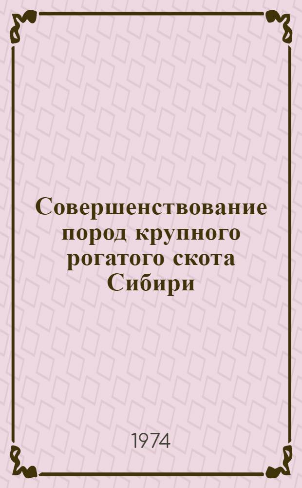 Совершенствование пород крупного рогатого скота Сибири