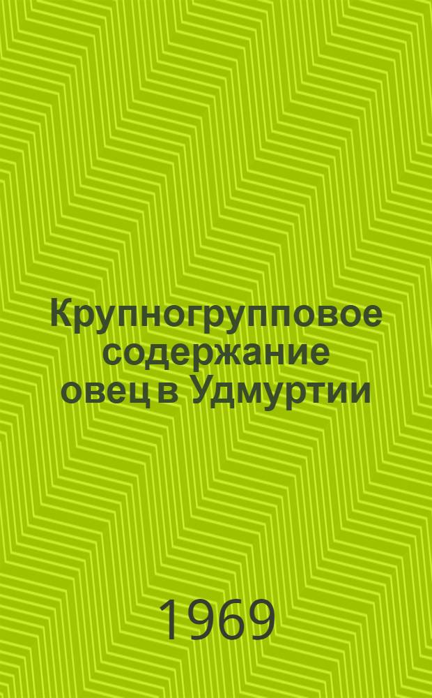 Крупногрупповое содержание овец в Удмуртии