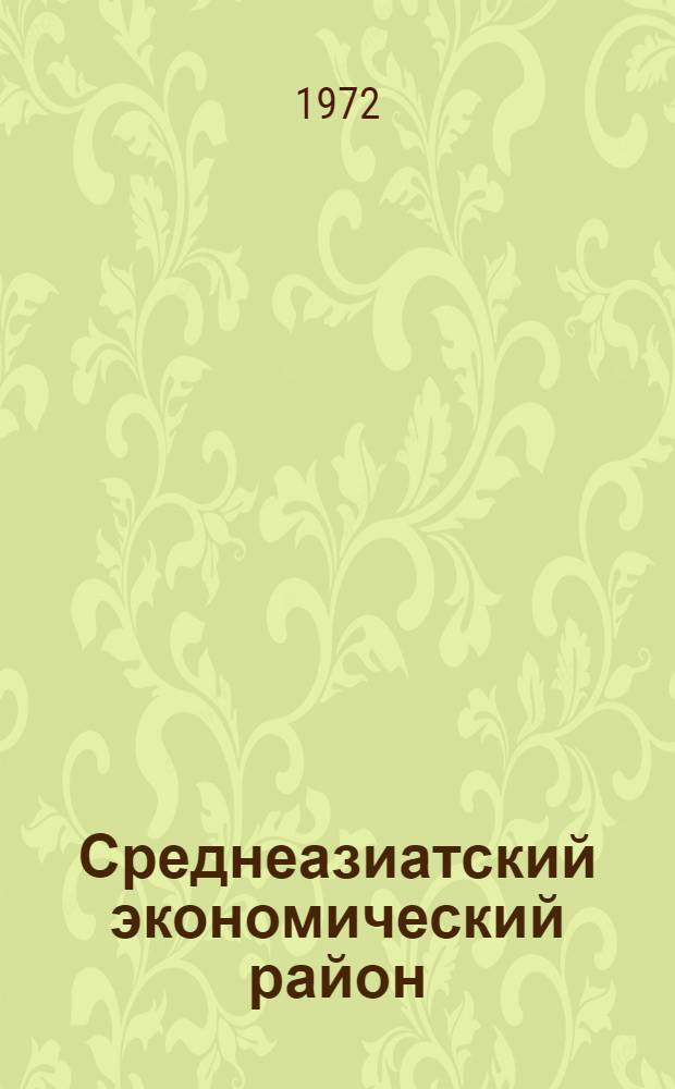 Среднеазиатский экономический район