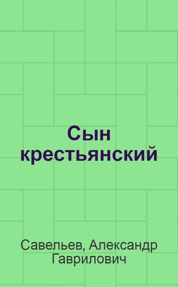 Сын крестьянский : Ист. повесть о И. Болотникове