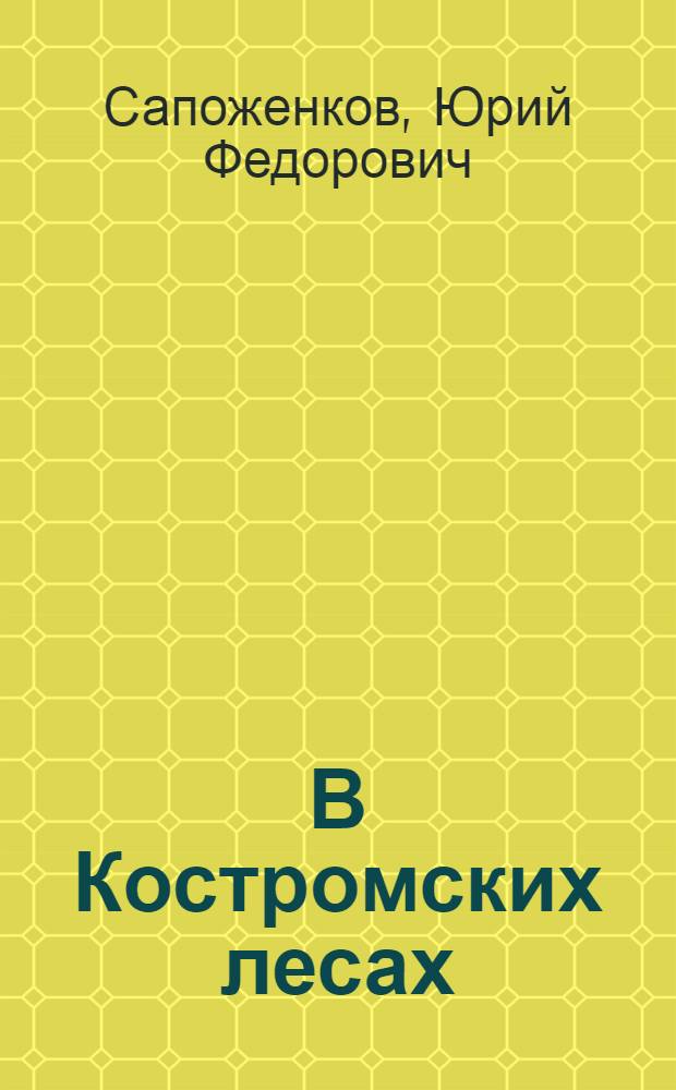 В Костромских лесах
