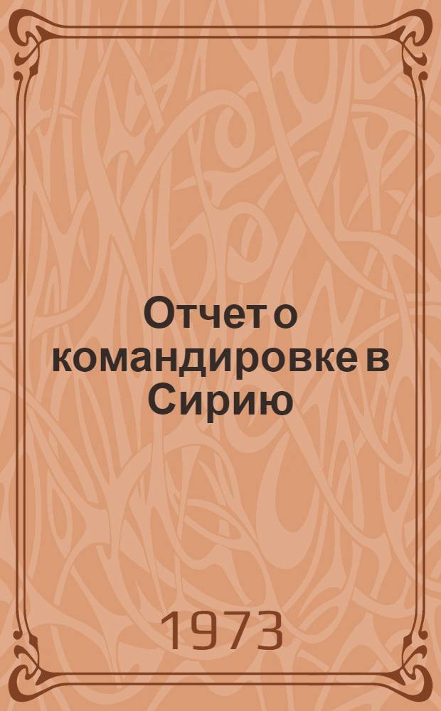 Отчет о командировке в Сирию