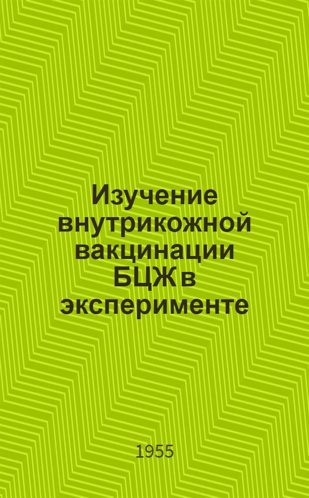 Изучение внутрикожной вакцинации БЦЖ в эксперименте : Автореферат дис. на соискание учен. степени кандидата мед. наук