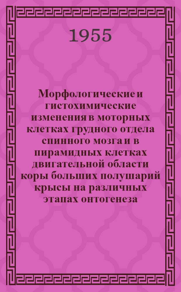Морфологические и гистохимические изменения в моторных клетках грудного отдела спинного мозга и в пирамидных клетках двигательной области коры больших полушарий крысы на различных этапах онтогенеза : Автореферат дис. на соискание учен. степени кандидата биол. наук