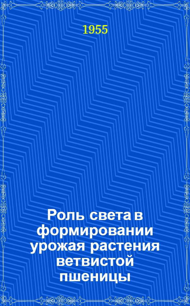 Роль света в формировании урожая растения ветвистой пшеницы : Автореферат дис. на соискание учен. степени кандидата с.-х. наук