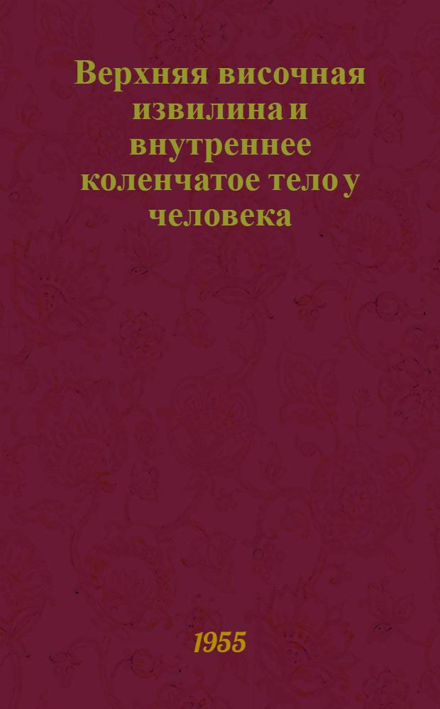 Верхняя височная извилина и внутреннее коленчатое тело у человека : Автореферат дис. на соискание учен. степени кандидата мед. наук
