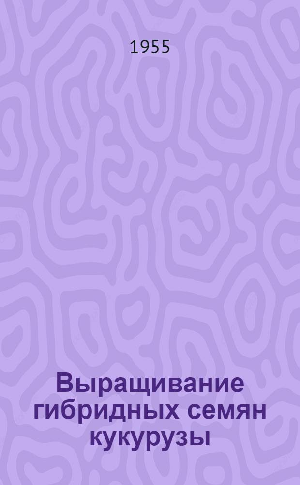 Выращивание гибридных семян кукурузы