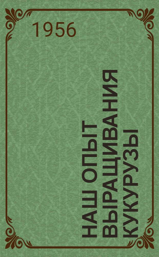 Наш опыт выращивания кукурузы