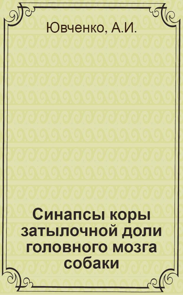 Синапсы коры затылочной доли головного мозга собаки : Автореферат дис. на соискание учен. степени кандидата мед. наук