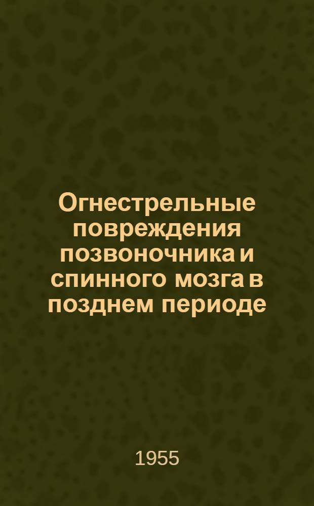 Огнестрельные повреждения позвоночника и спинного мозга в позднем периоде : Автореферат дис. на соискание учен. степени доктора мед. наук