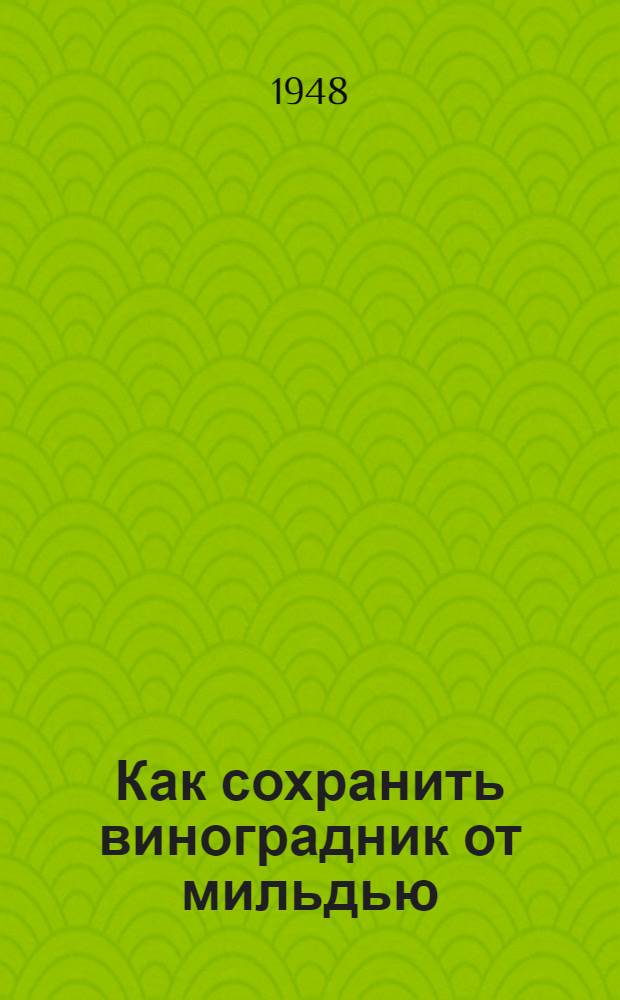 Как сохранить виноградник от мильдью