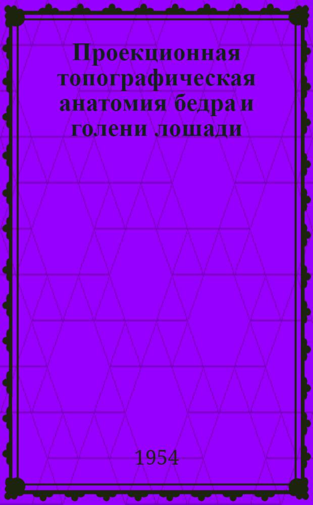Проекционная топографическая анатомия бедра и голени лошади (разработанная методом визирографии и координатной мерометрии) : Автореферат дис. на соискание учен. степени кандидата вет. наук