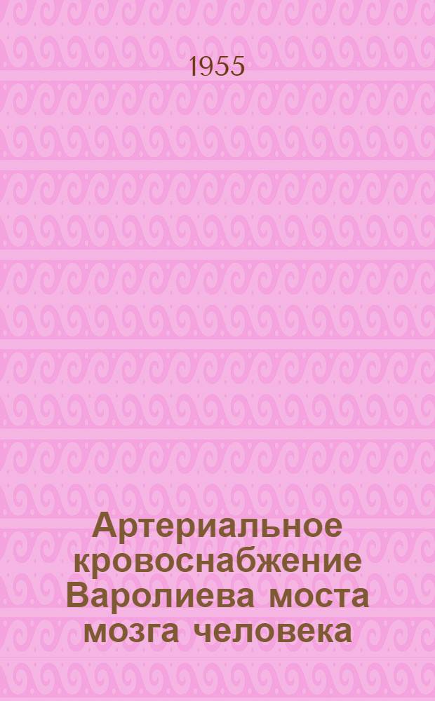 Артериальное кровоснабжение Варолиева моста мозга человека : Автореферат дис. на соискание учен. степени кандидата мед. наук