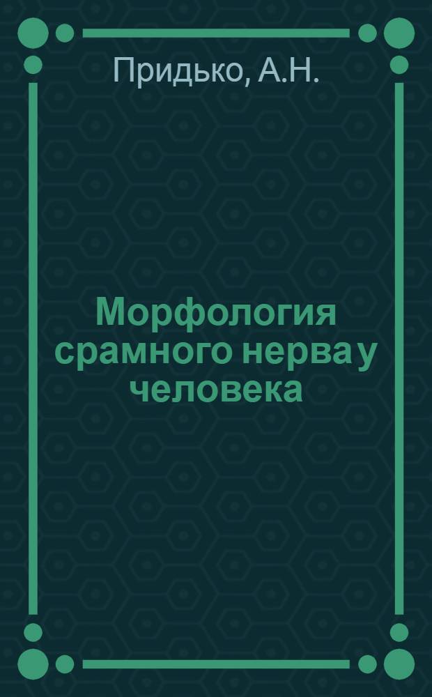 Морфология срамного нерва у человека : Автореферат дис. на соискание учен. степени кандидата мед. наук