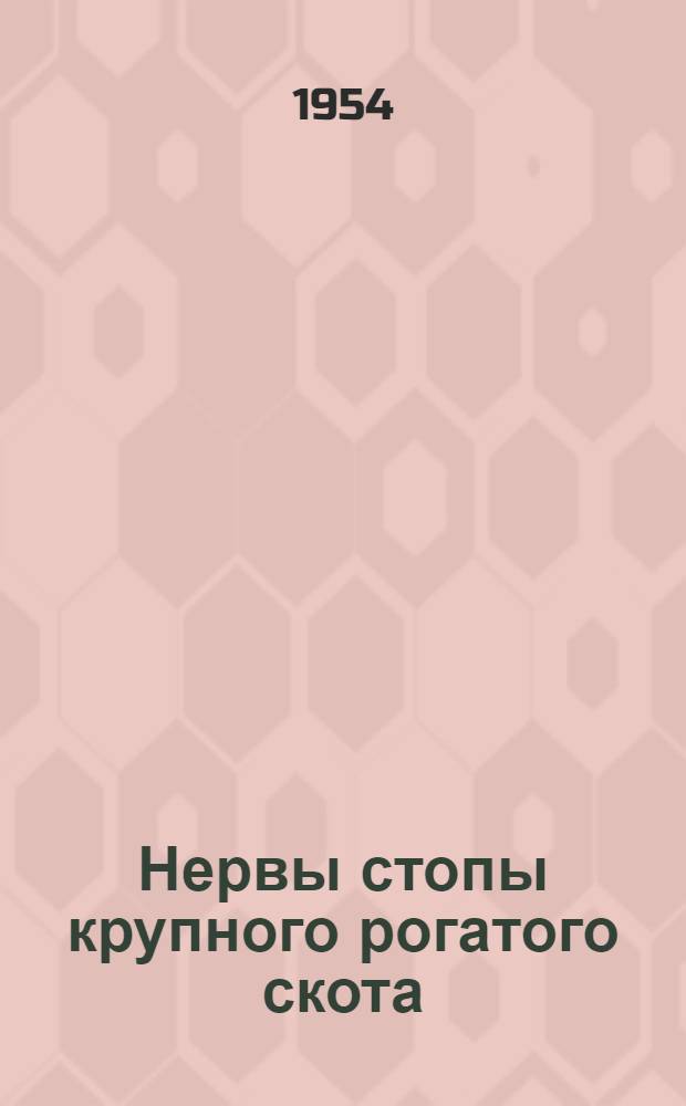 Нервы стопы крупного рогатого скота : Автореферат дис. на соискание учен. степени кандидата биол. наук