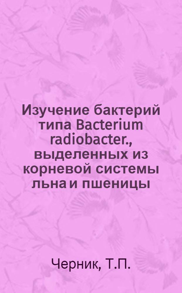 Изучение бактерий типа Bacterium radiobacter., выделенных из корневой системы льна и пшеницы : Автореф. дис. работы на соискание учен. степени канд. биол. наук
