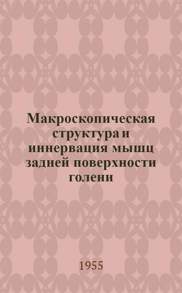 Макроскопическая структура и иннервация мышц задней поверхности голени : Автореферат дис. на соискание учен. степени кандидата мед. наук