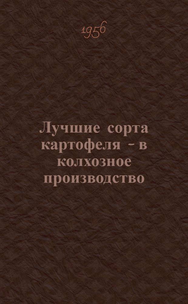 Лучшие сорта картофеля - в колхозное производство