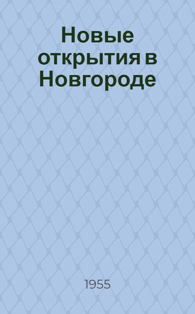 Новые открытия в Новгороде