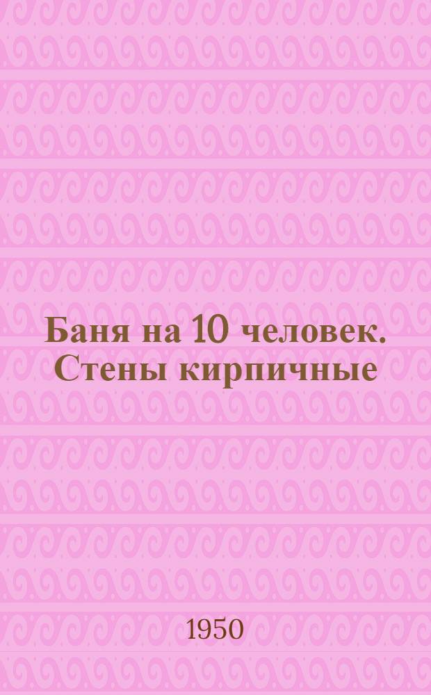 Баня на 10 человек. Стены кирпичные