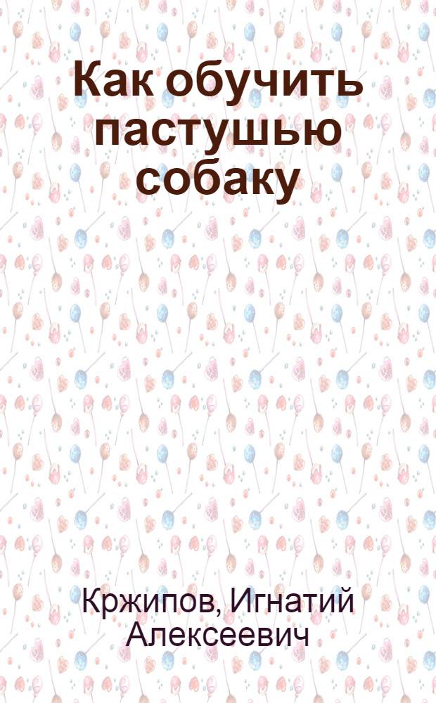 Как обучить пастушью собаку