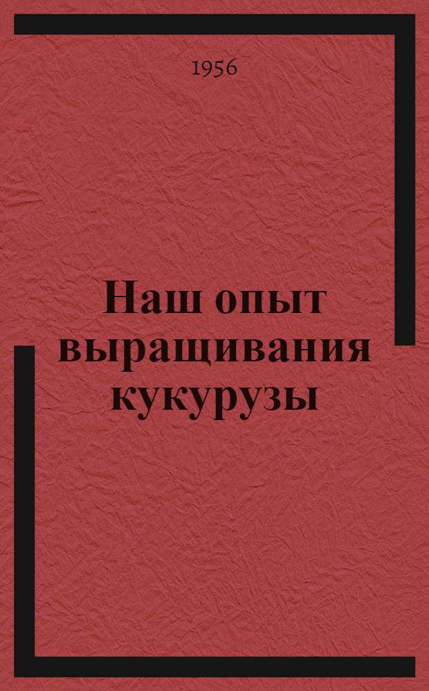 Наш опыт выращивания кукурузы