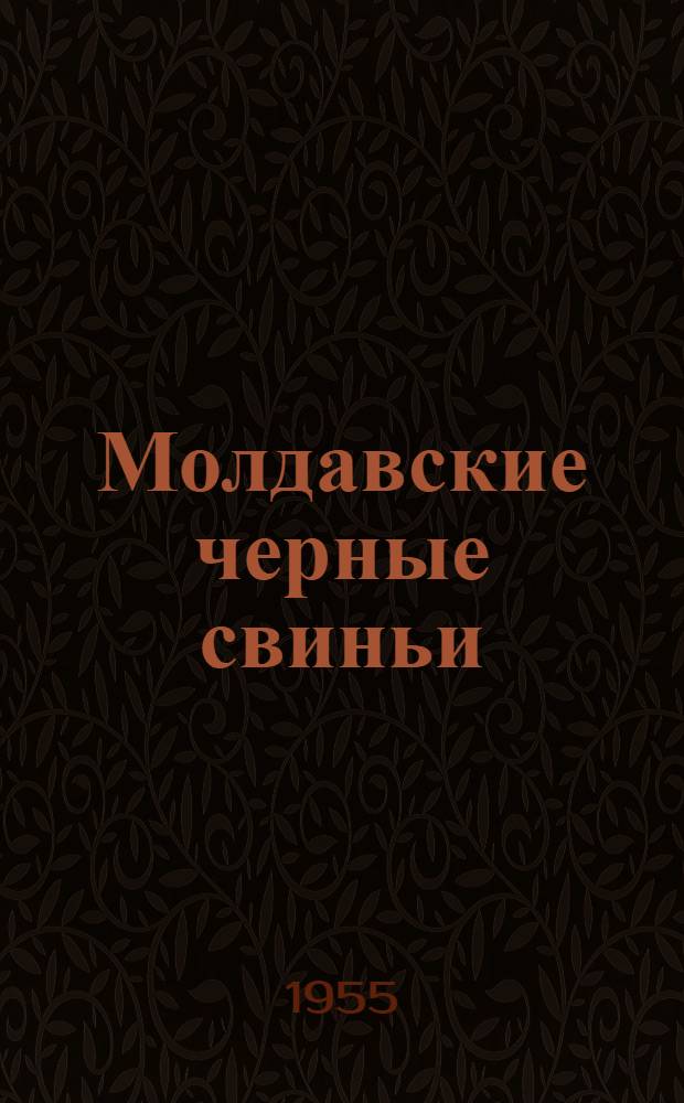 Молдавские черные свиньи