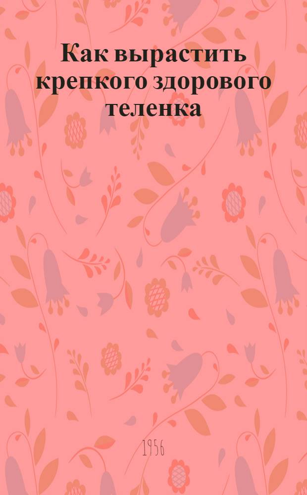 Как вырастить крепкого здорового теленка