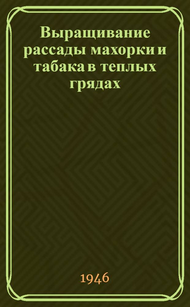 Выращивание рассады махорки и табака в теплых грядах