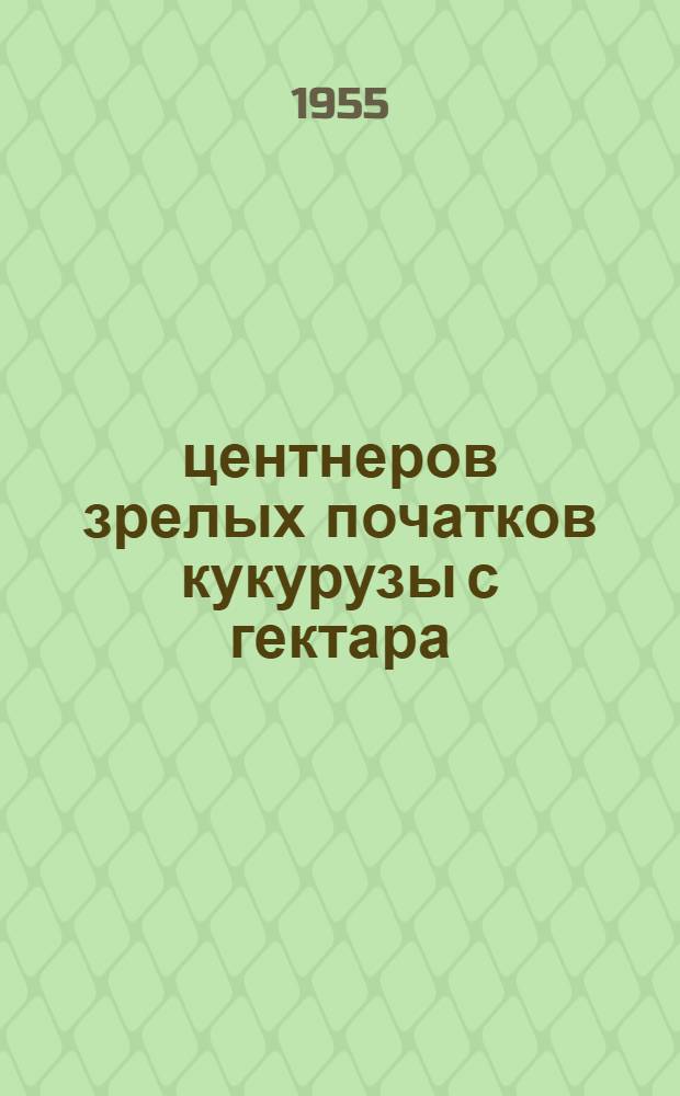 79 центнеров зрелых початков кукурузы с гектара