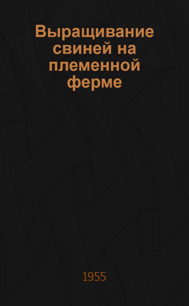 Выращивание свиней на племенной ферме