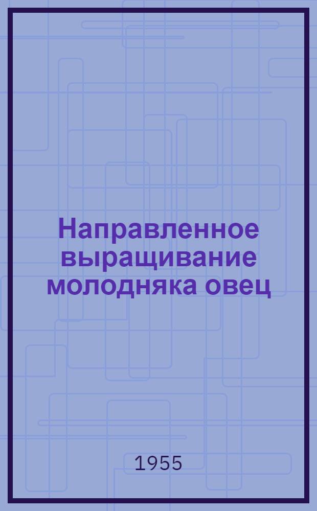 Направленное выращивание молодняка овец