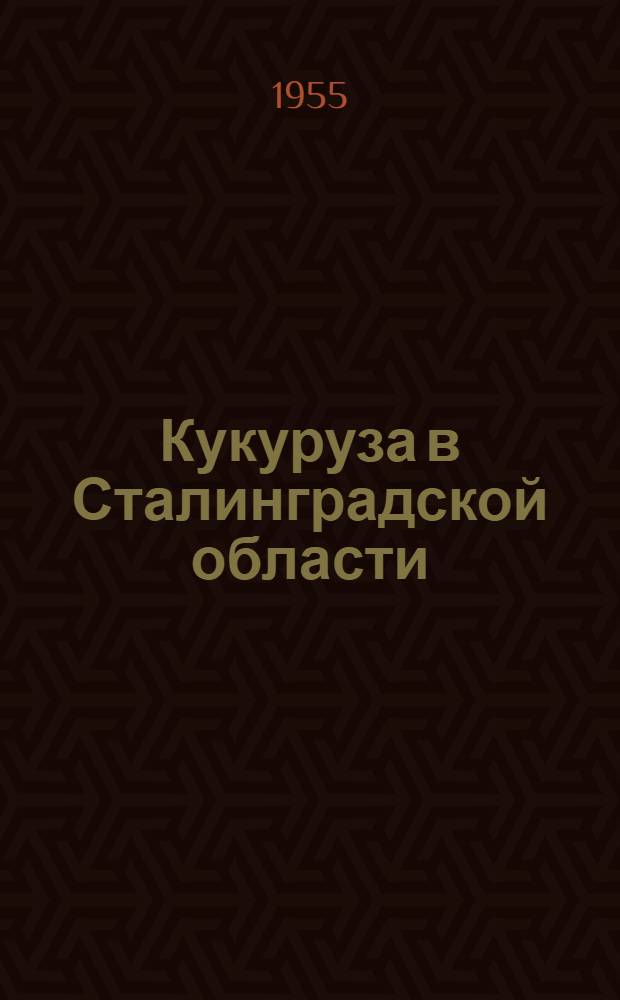 Кукуруза в Сталинградской области
