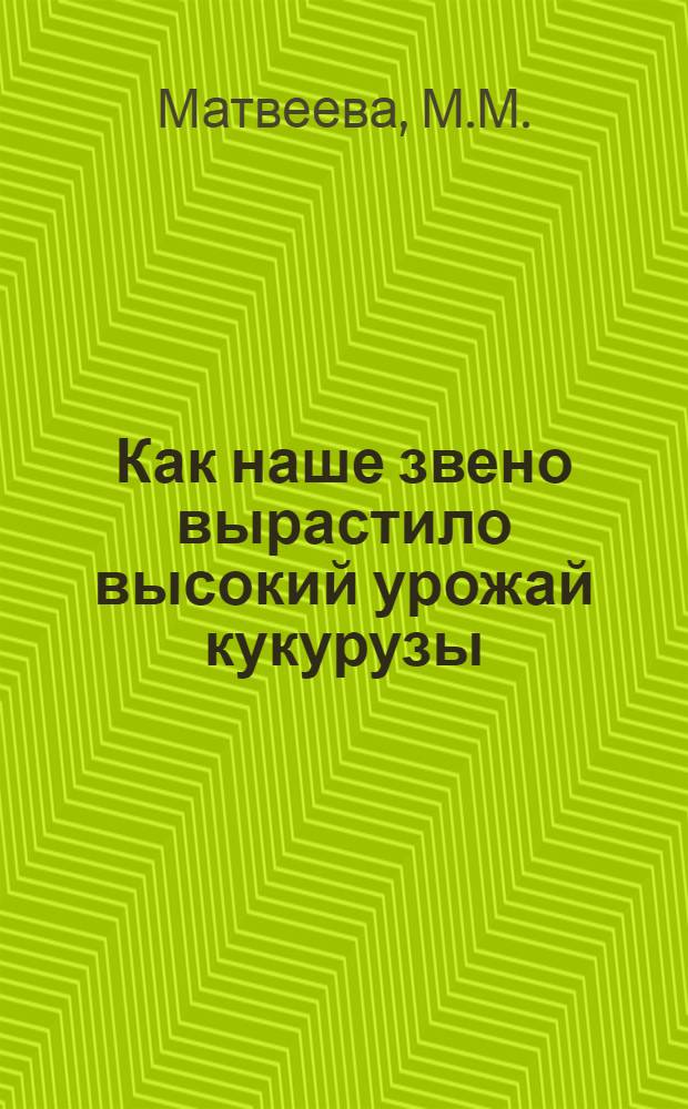 Как наше звено вырастило высокий урожай кукурузы