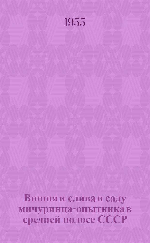 Вишня и слива в саду мичуринца-опытника в средней полосе СССР